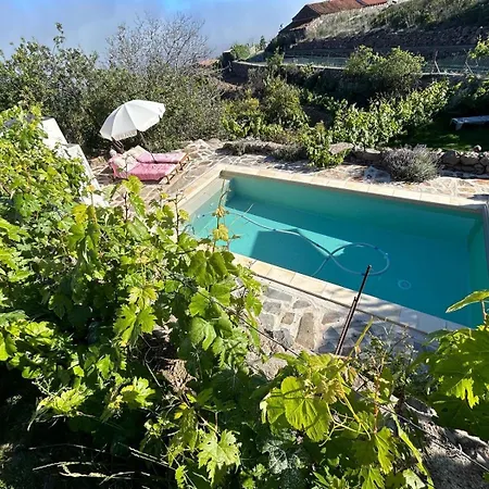 Rosa * Granadilla De Abona