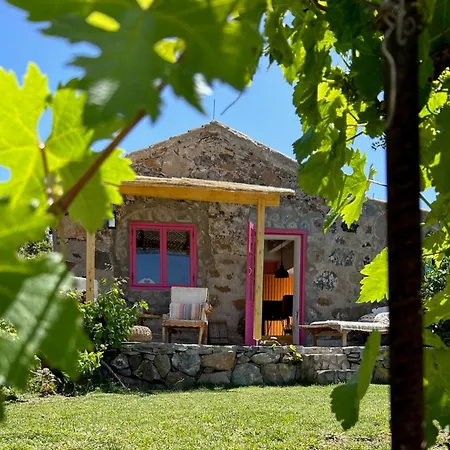 Rosa גרנדילה דה אבונה